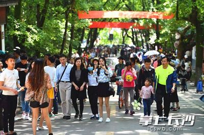全員上崗服務 小長假首日麓山景區迎客流小高峰