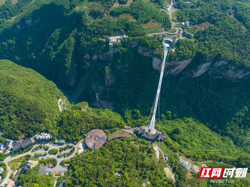 暑期年假計劃丨仙境張家界,湖南度假首選