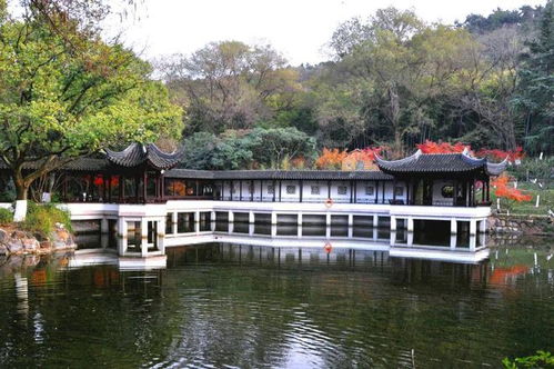 蘇州亭林園免費(fèi)啦 附預(yù)約攻略