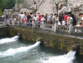 助力保泉 濟(jì)南5個滲漏區(qū)明年將修復(fù)