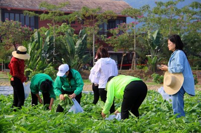 水稻國家公園旅游標準化專項工作簡報第一期
