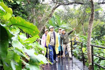 &ldquo;國研&middot;斯坦福&rdquo;師生走進呀諾達,領(lǐng)略雨林魅力