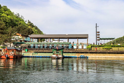 離武漢1小時(shí)車程,山水索道峽谷,游船滑草木屋,周末游正當(dāng)時(shí)