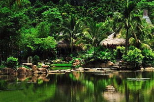 在溫暖保亭遇見那香山，探索大三亞旅游經(jīng)濟(jì)圈的景區(qū)管理之道