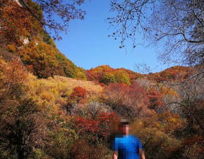 2019平山駝梁風景區游玩全攻略 門票價格、游覽路線、地址與服務詳解